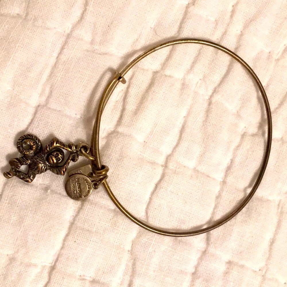 Alex and Ani Monkey Bangle